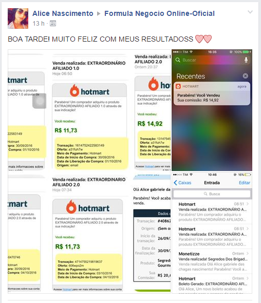 [Treinamento Fórmula Negócio Online Funciona?]